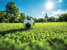 赛事跟踪管理平台